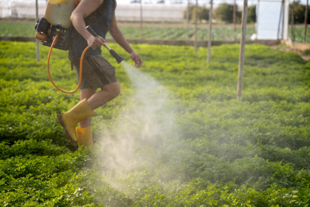 Best Pest Prevention Services  in Freeport, FL