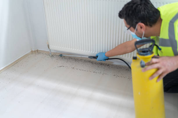 Best Pest Removal Services  in Freeport, FL